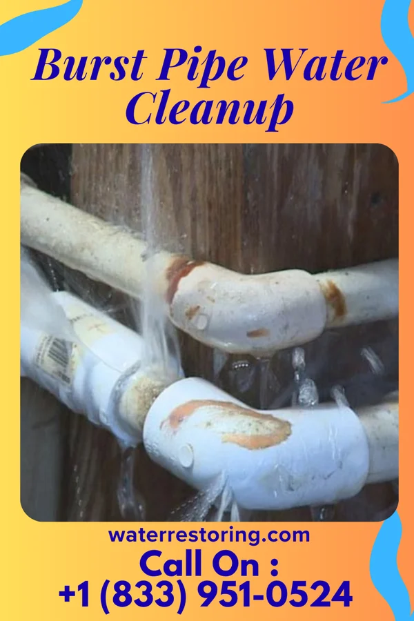 Burst Pipe Water Cleanup in Buckeye, IA