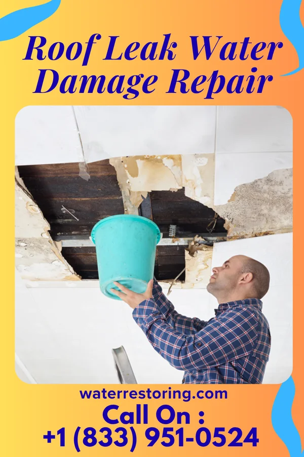 Roof Leak Water Damage Repair in Buckeye, IA