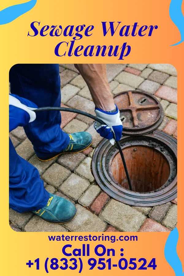 Sewage Water Cleanup in Buckeye, IA