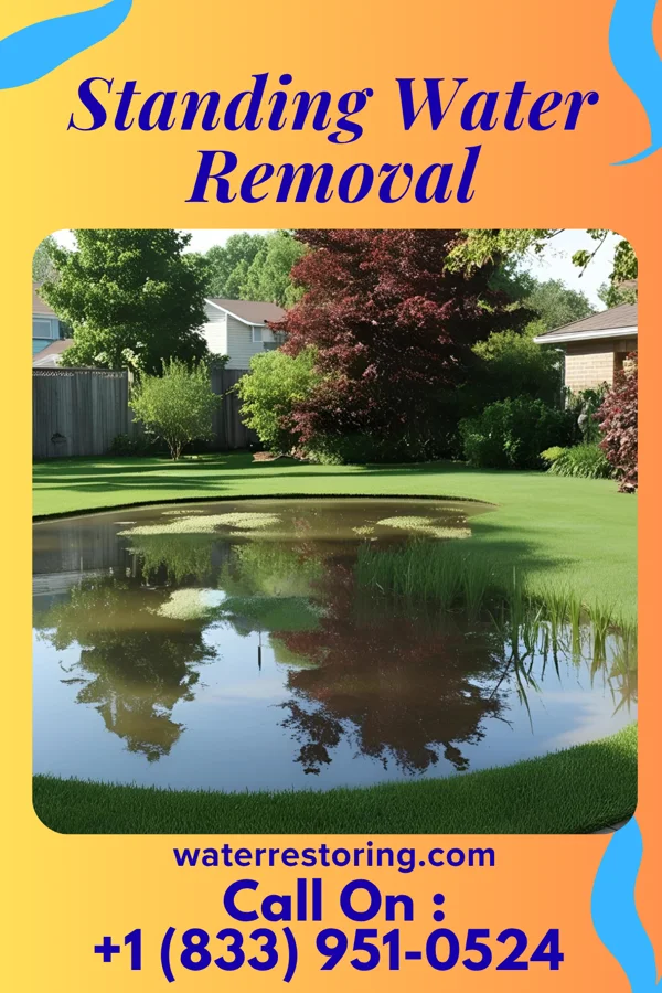 Standing Water Removal in Buckeye, IA